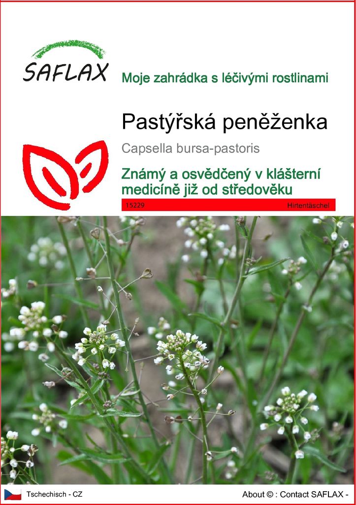 SAFLAX - pastýřská peněženka - Capsella bursa-pastoris - Obrázek produktu 