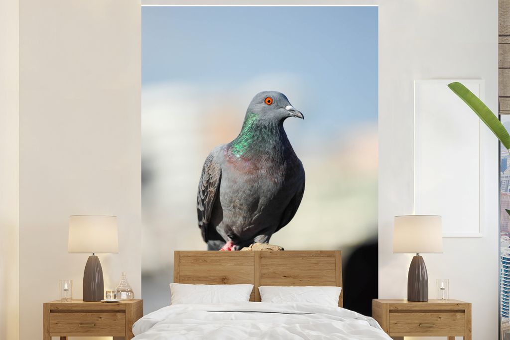 MuchoWow Fototapete für Wohnzimmer oder Schlafzimmer Wandtapete Vinyl Motivtapete Eine Taube sitzt auf einem Stein - 145x220 cm - Wanddekoration