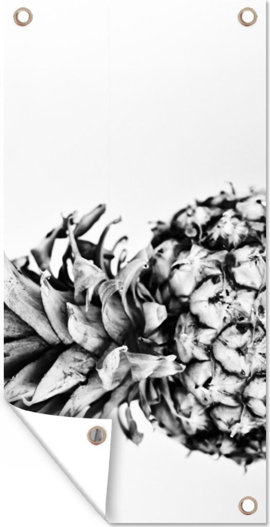 MuchoWow 40x80 cm Outdoor-Poster Gartendeko Sichtschutz Garten Poster für den Garten Ananas - Obst - Schwarz - Weiß