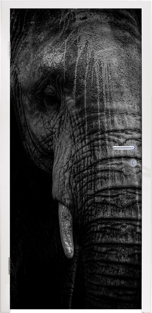 MuchoWow Türtapete Selbstklebende Türfolie Elefant - Tier - Porträt 95x235 cm Türposter Türaufkleber Klebefolie Türklebefolie - XXL-Poster ...