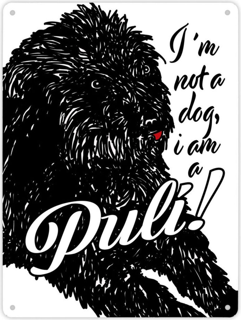 I'm not a dog I am a Puli! Metallschild XL in 21x28 cm in Produktbild 