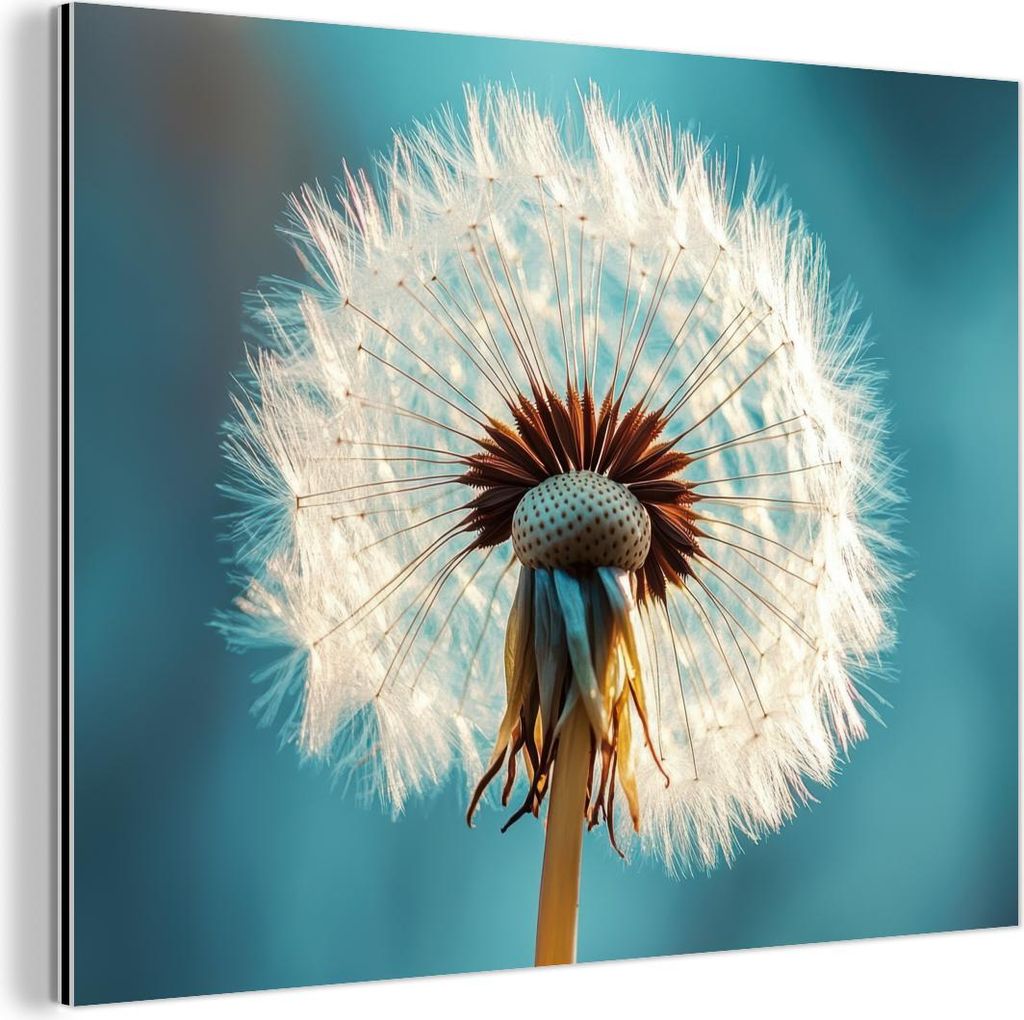 MuchoWow Wanddekoration Metall Metallbild Wandkunst 80x60 cm Löwenzahn - Natur - Blumen - Blau MuchoWow Aluminium Gemälde - Alubild