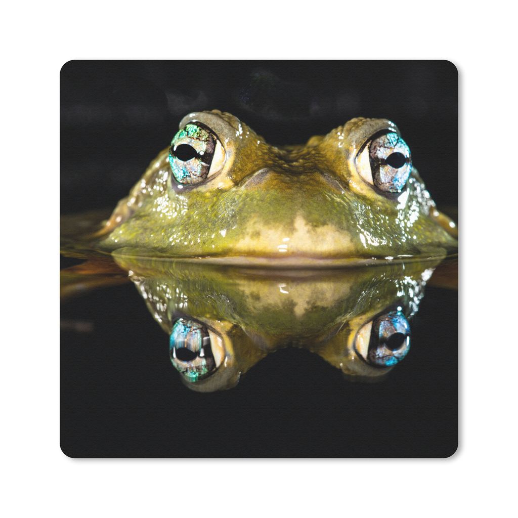 MuchoWow Mauspad Mousepad Frosch - Augen - Porträt 20x20 cm - Mousepads - Maus Mat - Pad - Mausunterlage