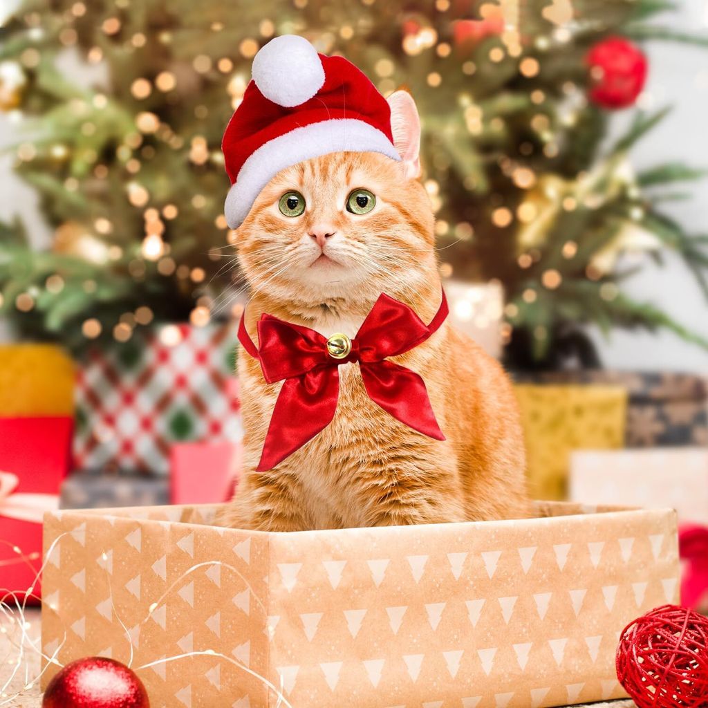 Hunde Katzen Weihnachtskostüm, Haustier Kostüm Weihnachten Produktbild 5