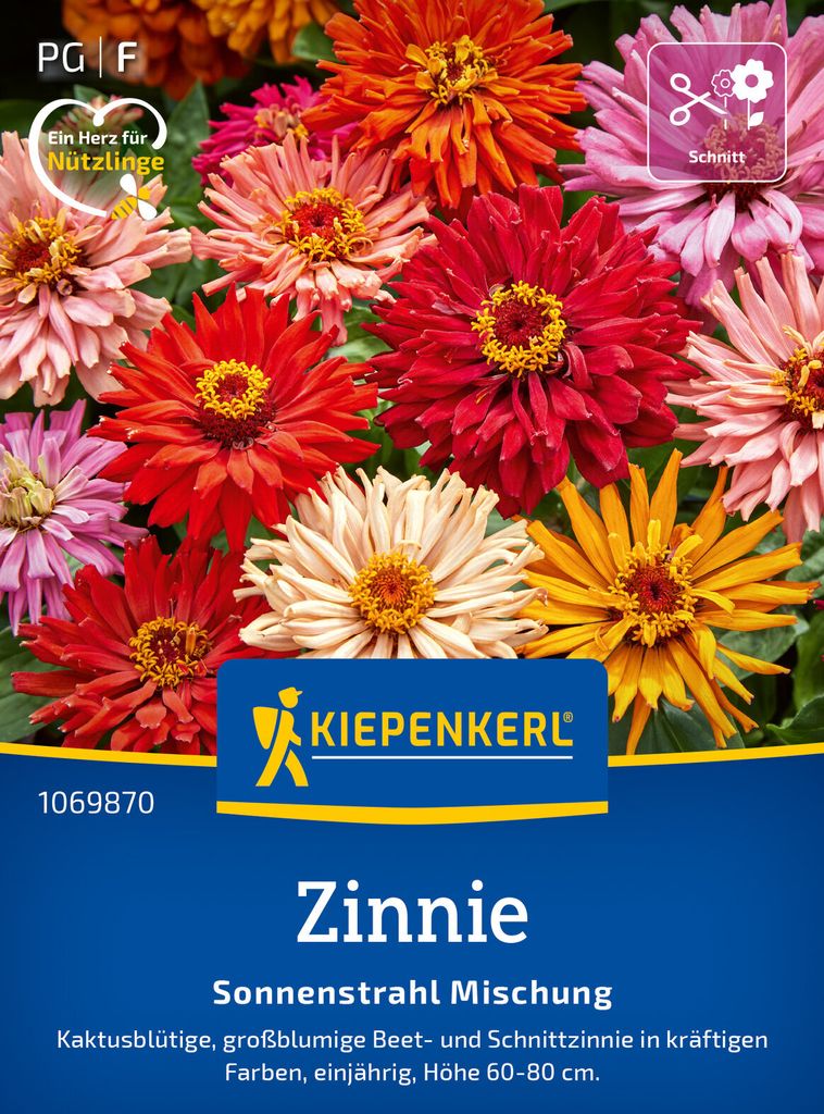 Kiepenkerl Zinniensamen Sonnenstrahl 50 Pflanzen