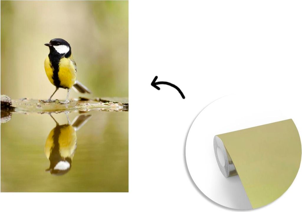 MuchoWow Fototapete für Wohnzimmer oder Schlafzimmer Wandtapete Vinyl Motivtapete Große Meise spiegelt sich im Wasser - 150x220 cm - Wandbilder