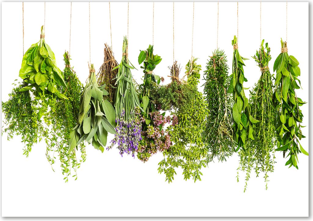 Tulup Glas-Bild - 100 x 70 - Wandbild aus Glas - Wandkunst - Wandbild hinter gehärtetem Sicherheitsglas - Essen & Getränke - Kräuter an Schnur...