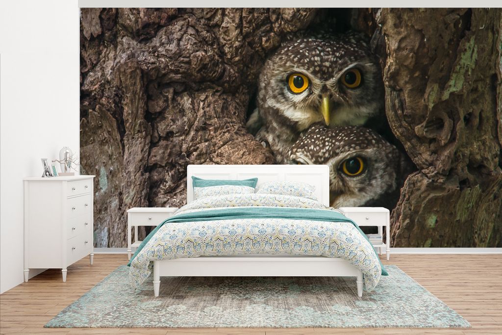 MuchoWow Fototapete für Wohnzimmer oder Schlafzimmer Wandtapete Vinyl Motivtapete Eulen auf einem Baum - 535x300 cm - Wanddekoration