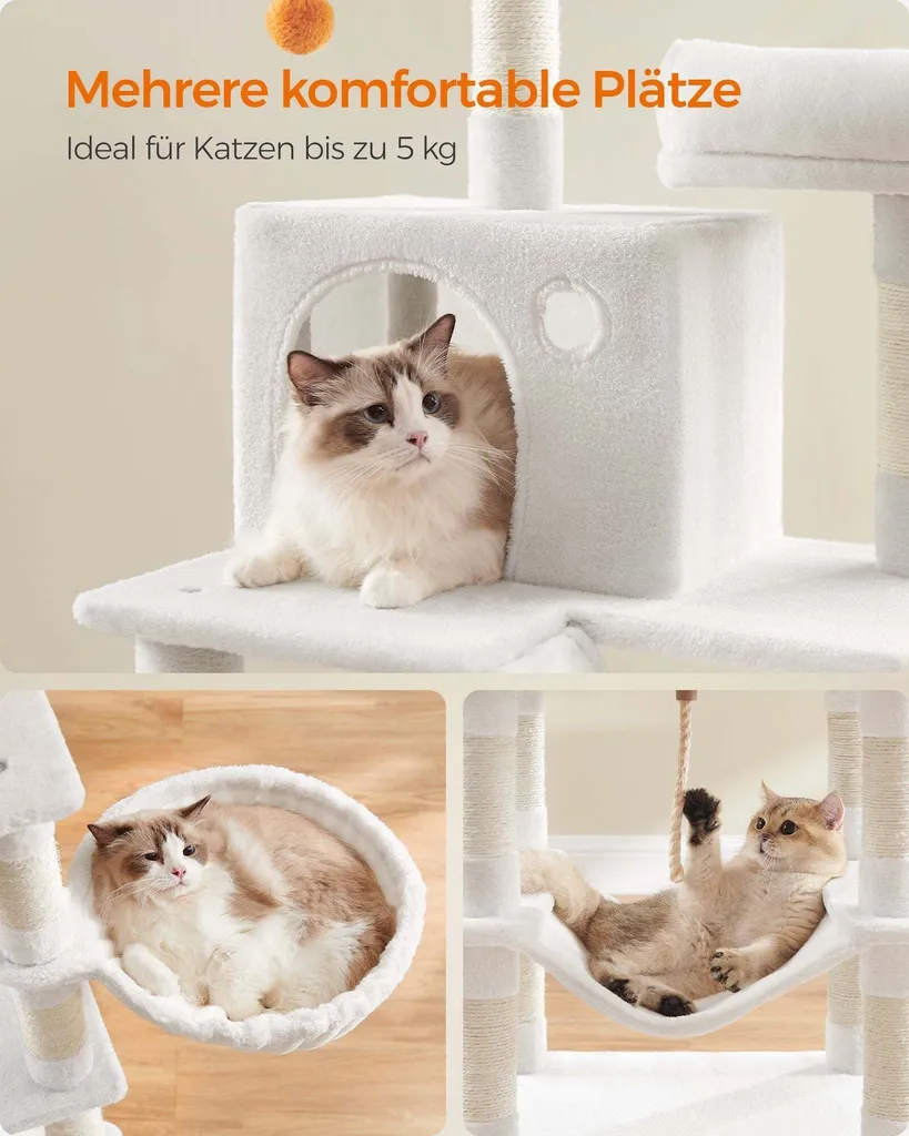 Tour pour Chat Multi-Niveaux 168 cm avec Griffoirs en Sisal - Rootz