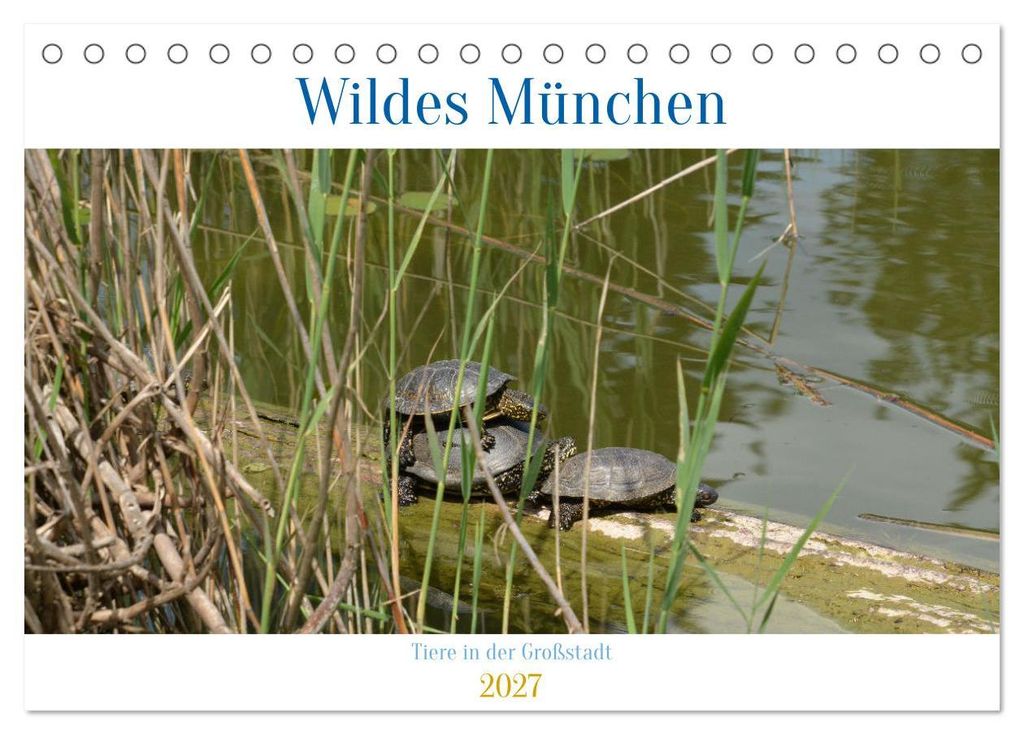 Wildes München (Tischkalender 2027 DIN A5 quer), CALVENDO Monatskalender