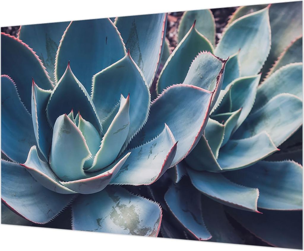Wandtapete - Dekorative Tapete für Wohnzimmer - Tapetenfolie für Wanddekoration - 208x146 cm - Grüne Aloe