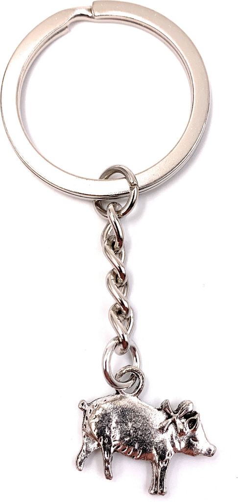 Onwomania Schlüsselanhänger Keychain Silber Metall Schwein Bauernhof Tier Glücksschwein