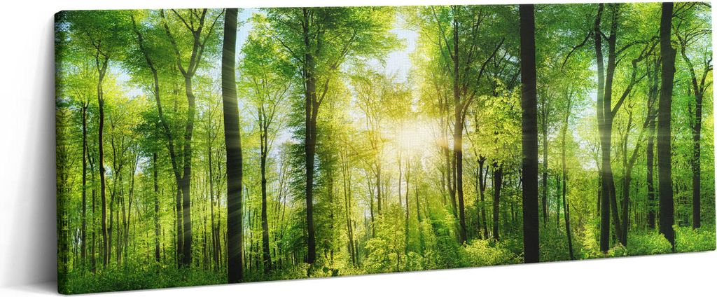 Natur Wald Bäume – Leinwandbild Wandbild – 125x50 cm – Leinwandbilder – Wandbilder – Schlafzimmer – Flur