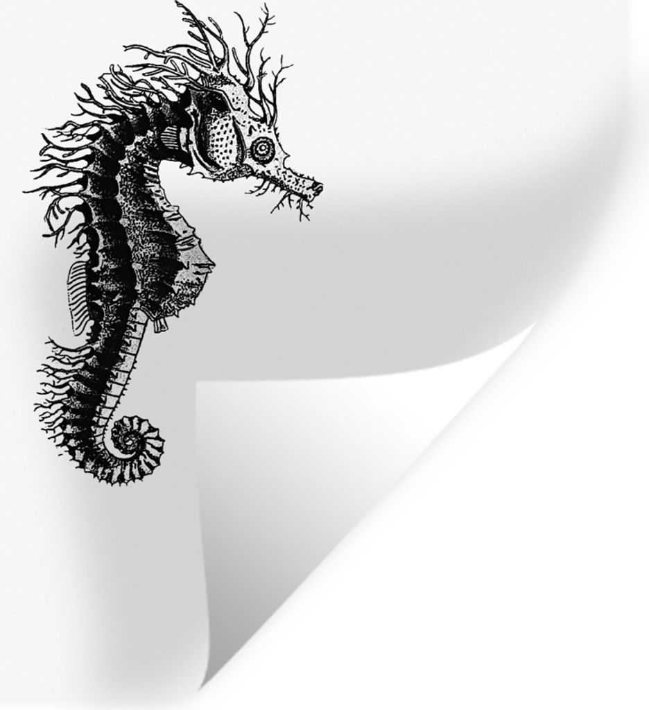 MuchoWow - Repositionierbar - Wasser abweisend