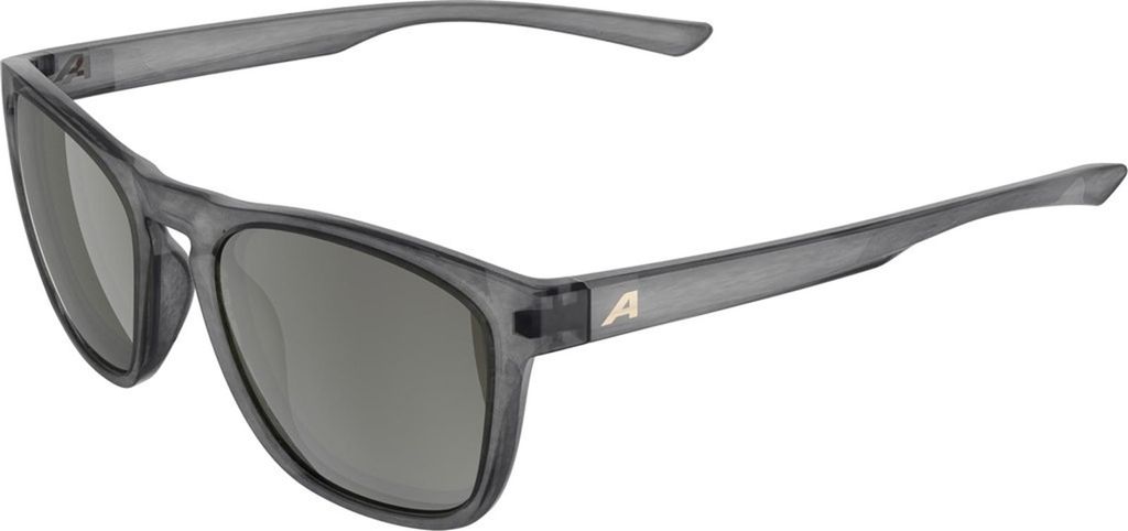 Sonnenbrille Alpina Gleam Grey Transparent Gloss/Green