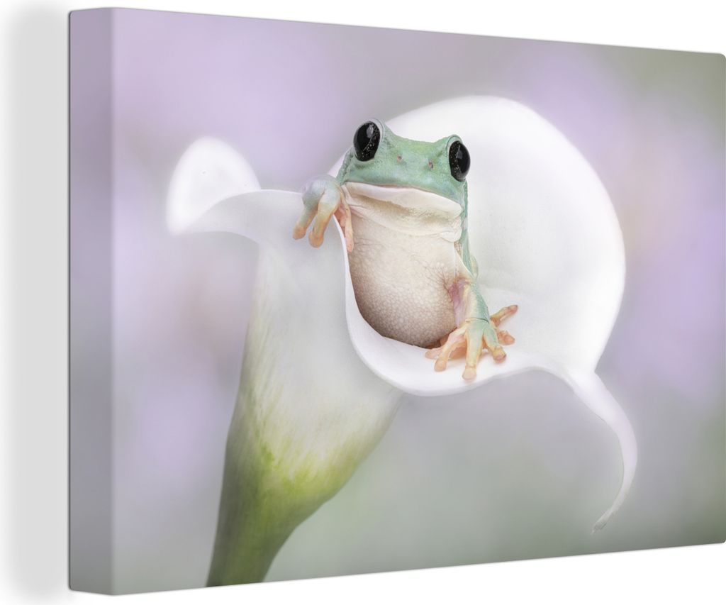 OneMillionCanvasses - Leinwandbilder - 140x90 cm, Lilie - Frosch - Blume, Wandbilder Kunstdruck Wanddekoration