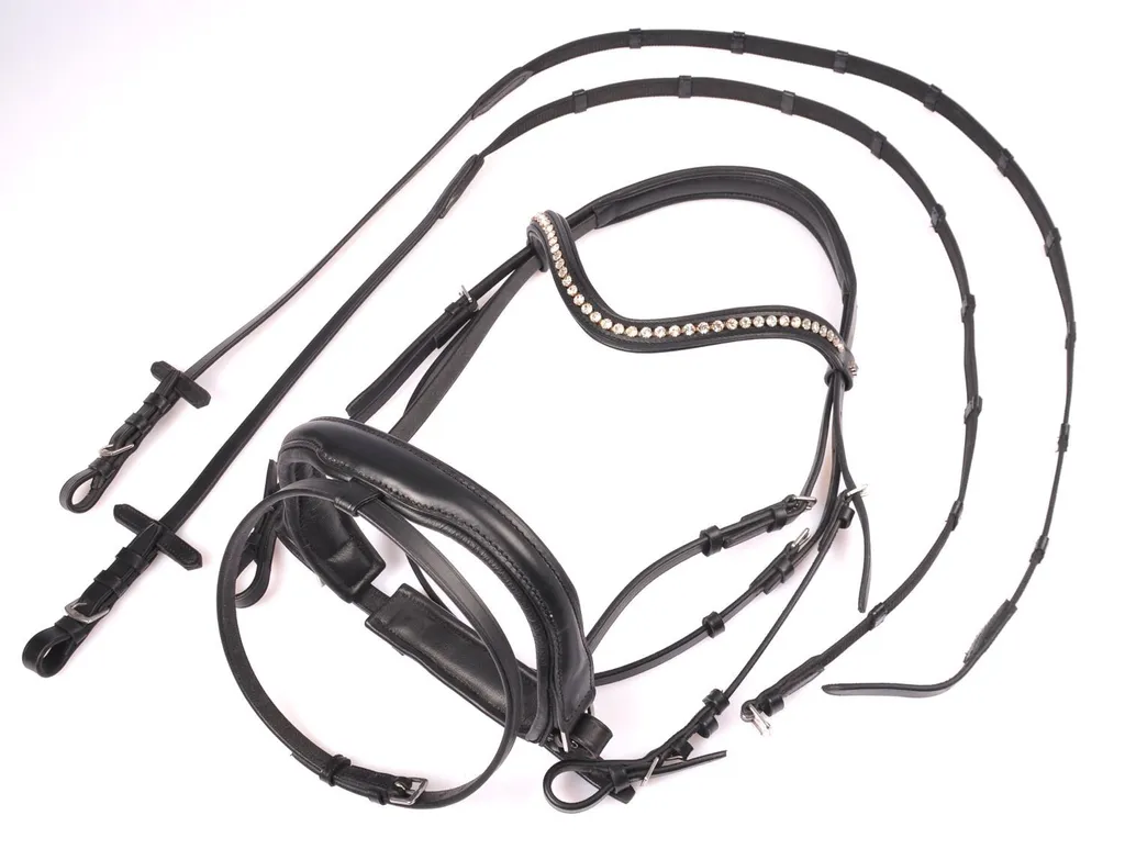Filet d'Équitation Maxima Noir Muserolle Pull-Back Taille Cheval