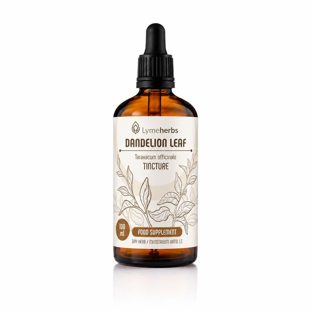 Löwenzahnblatt-Tinktur 1:3 (100 ml) Produktbild  KI-generiertes Bild