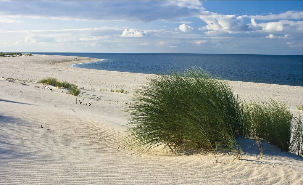 Vlies Fototapete Strand Meer Dünen (368x254cm - 4 Bahnen) Ostsee Natur Wohnzimmer Schlafzimmer Wandtapete Moderne Tapete UV-Beständig Montagefertig
