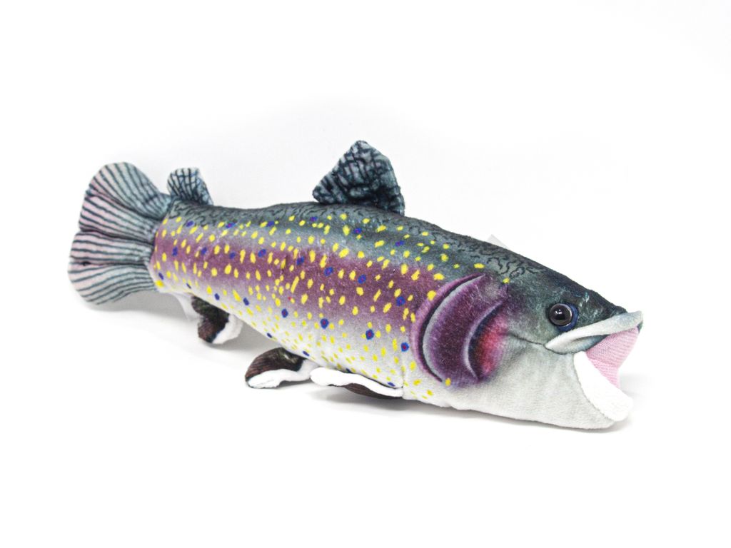 A plush toy fish lying on a white background.