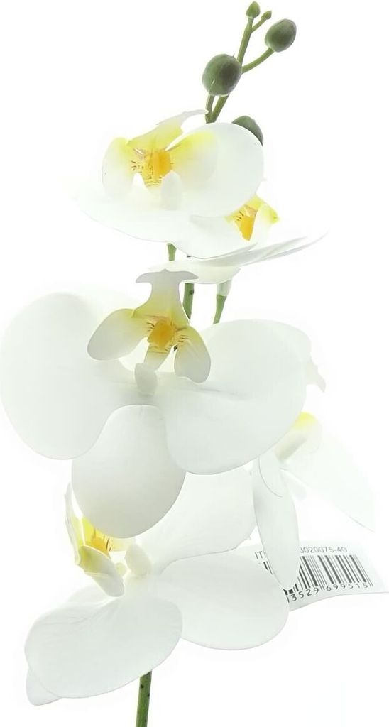 GASPER Schmetterlingsorchidee - Phalenopsis Weiß 45 cm - Produktbild 
