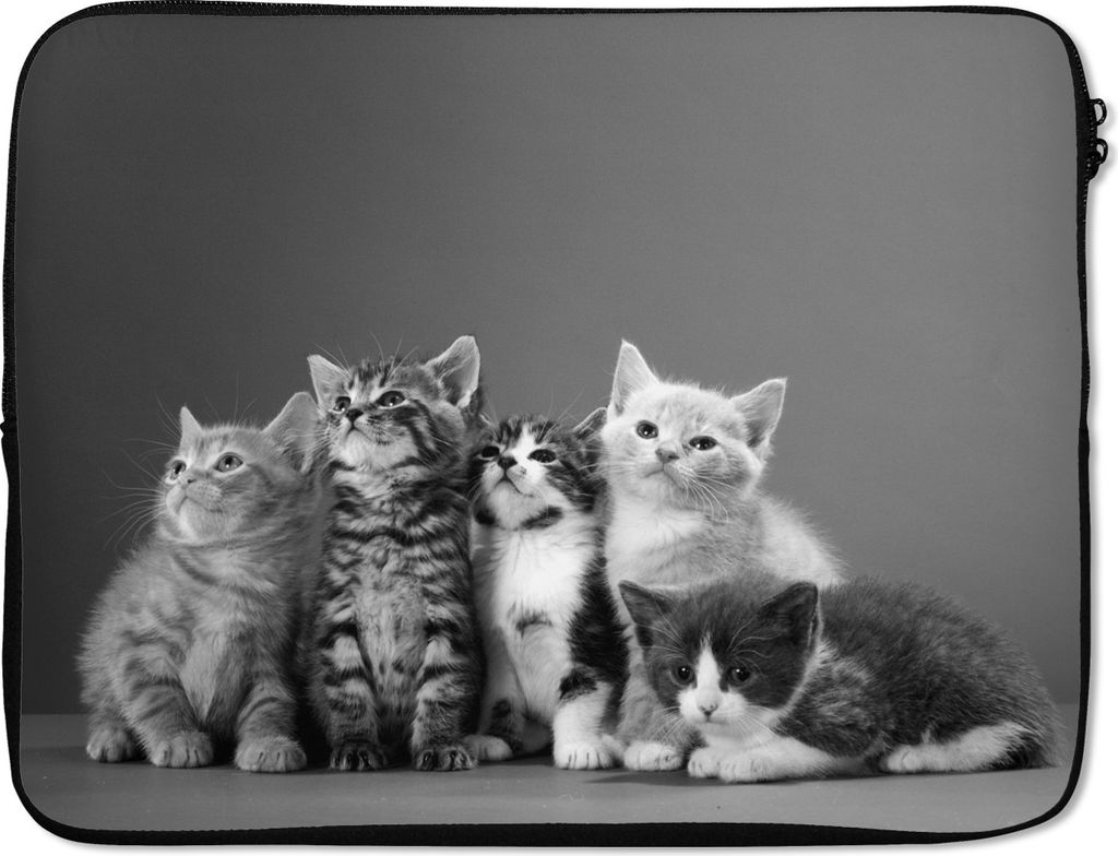 MuchoWow Laptop Hülle 17 Zoll Laptoptasche Kätzchen - Blau - Rosa - Mädchen - Kinder - Jungen - Kind - Zipper - Schutzabdeckung