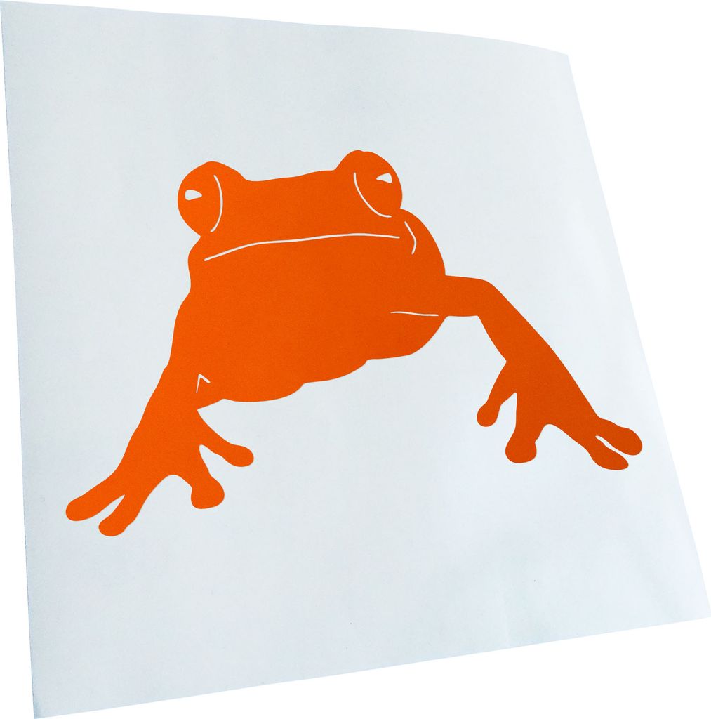 hauptsachebeklebt Kiwistar - Autoaufkleber - Frosch Frog Teich Heckscheibe - Aufkleber für Auto Kfz Fahrrad, LKW, Truck Mofa
