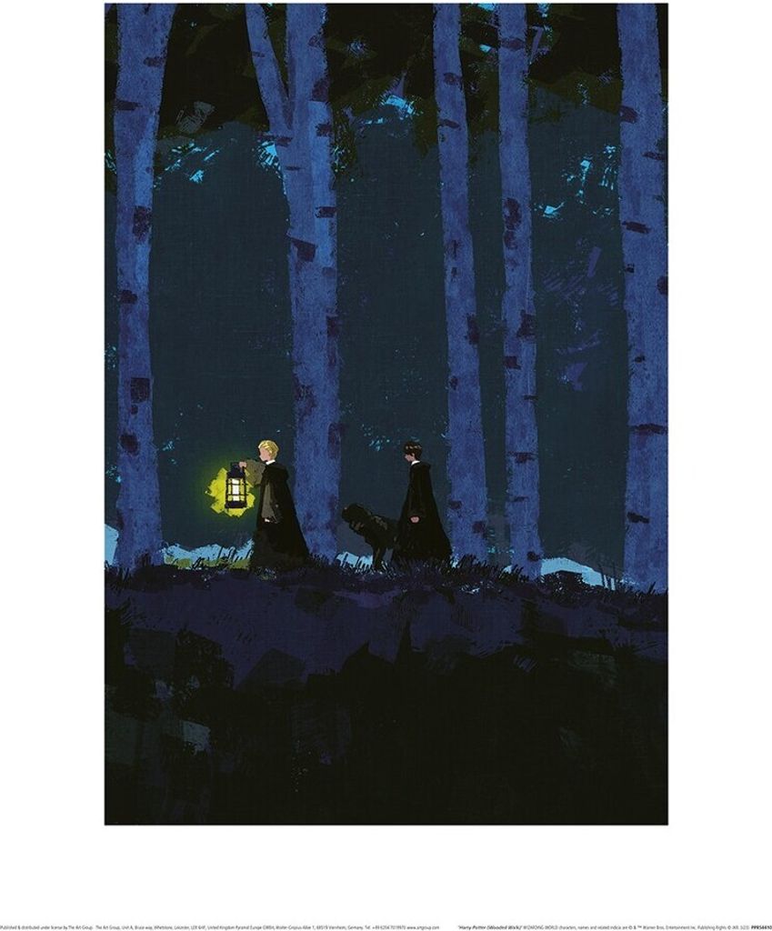Harry Potter - bedruckt "Wooded Walk" PM6184 (60 cm x 80 cm) (Marineblau/Schwarz)