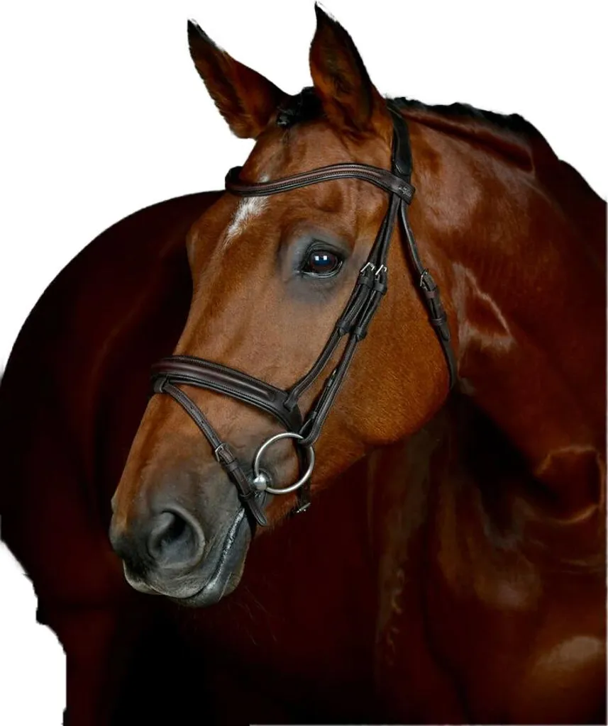 Bridon de Saut et Dressage Collegiate Comfitec Poney en Cuir Brun