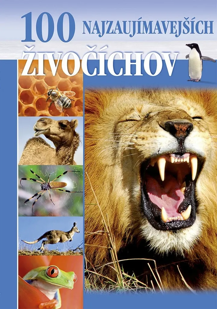 100 Animaux les Plus Fascinants par Geneviève De Becker Livre Illustré