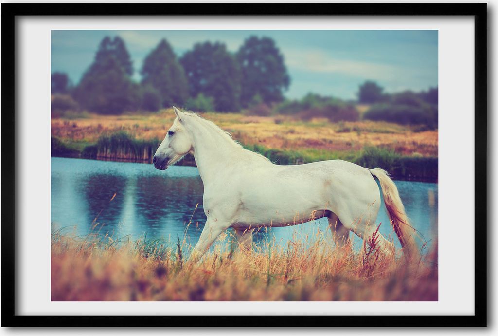 Bild 60x40 MDF-Rahmen, Wandkunst White Horse See