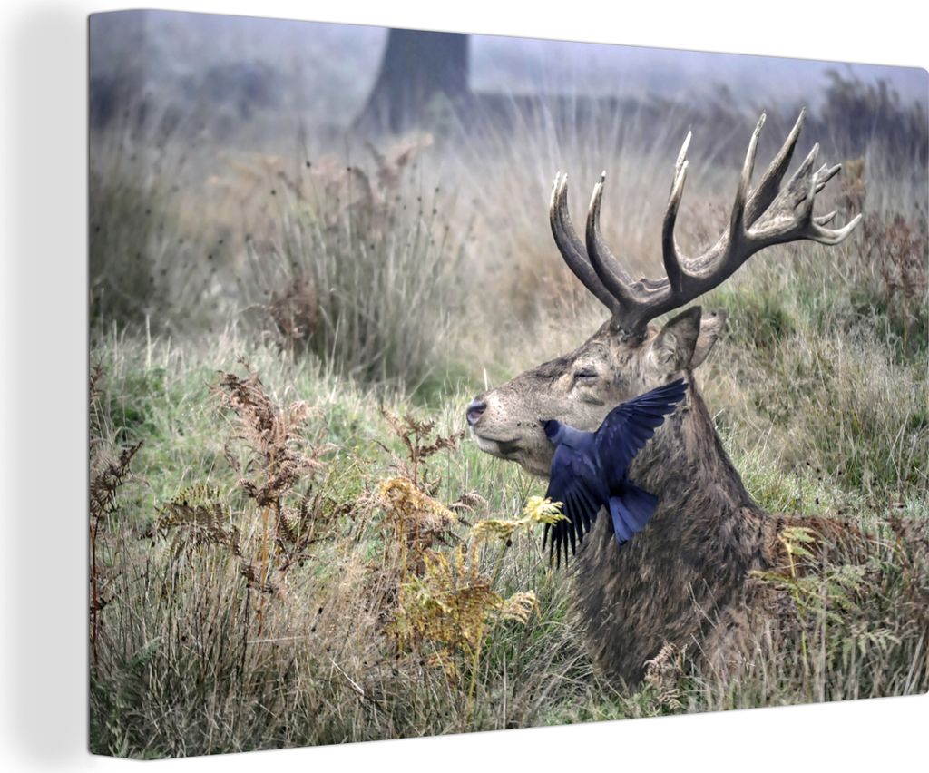 OneMillionCanvasses - Leinwandbilder - 150x100 cm, Hirsch - Vogel - Wald, Wandbilder Kunstdruck Wanddekoration
