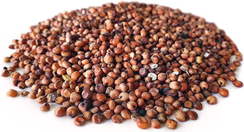 Dari Rot 20KG | Karpfen futter