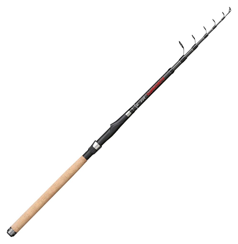 Paladin Masterclass Allzweckwaffe 3,00m 5-30g - Angelrute Produktbild 
