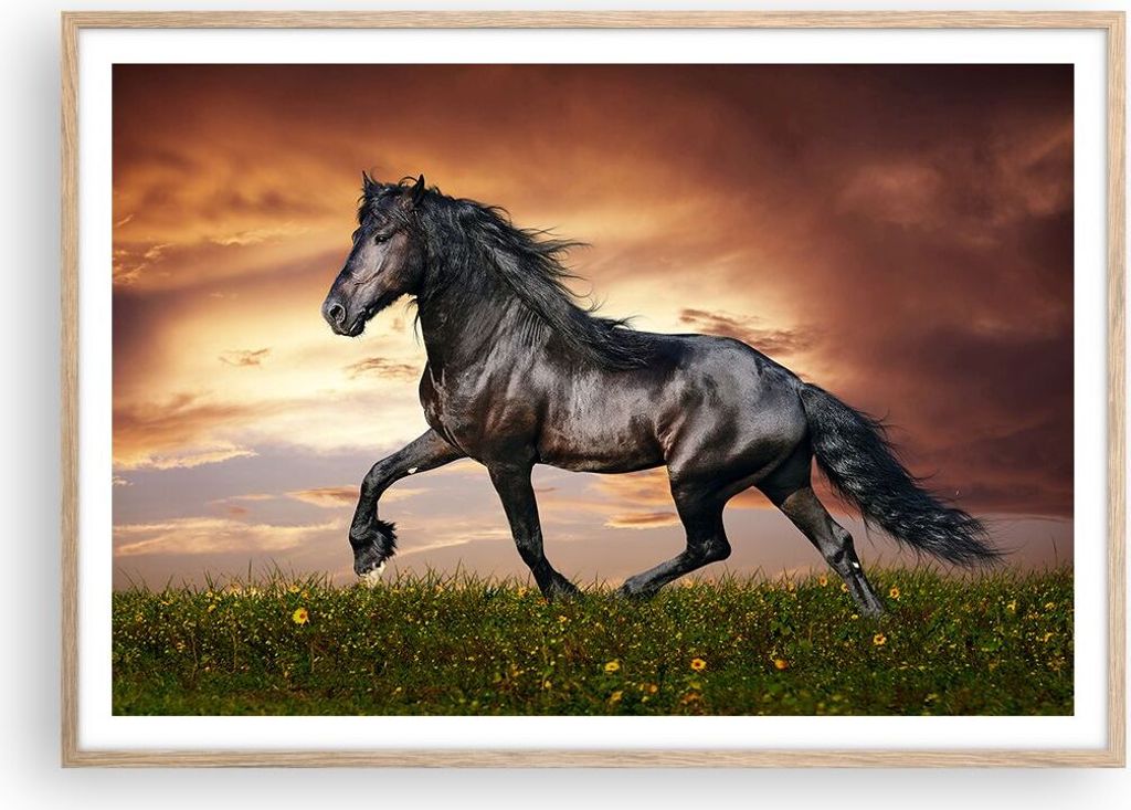 Gerahmtes Poster - Rahmen in heller Eiche - Pferd Tier Wiese - 100x70 cm - Wand Bild - Wanddeko - Wandbilder - Wandposter - Bilderrahmen - Bilder -...