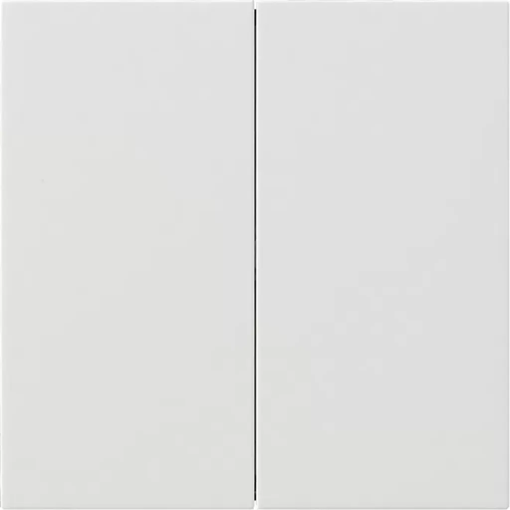 Module dédoublé Gira 5362112 interface de commande pour système domotique