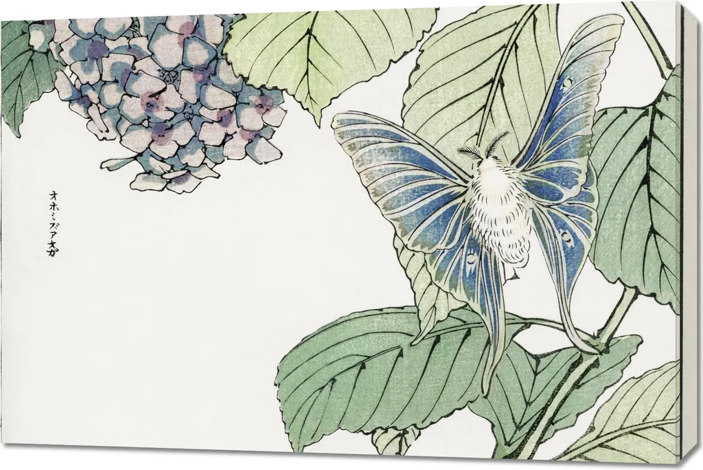 Arte Giapponese Morimoto Toko - Quadro Vintage 90x60 Falena e Fiori
