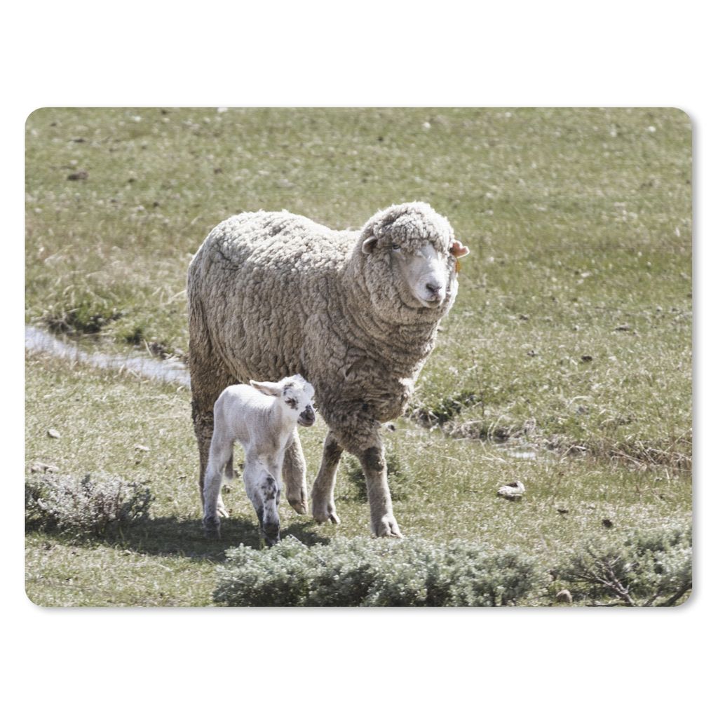 MuchoWow Mauspad Mousepad Tiere - Schafe - Lamm 23x19 cm - Mousepads - Maus Mat - Pad - Mausunterlage - Schreibtischunterlage - Mauspad