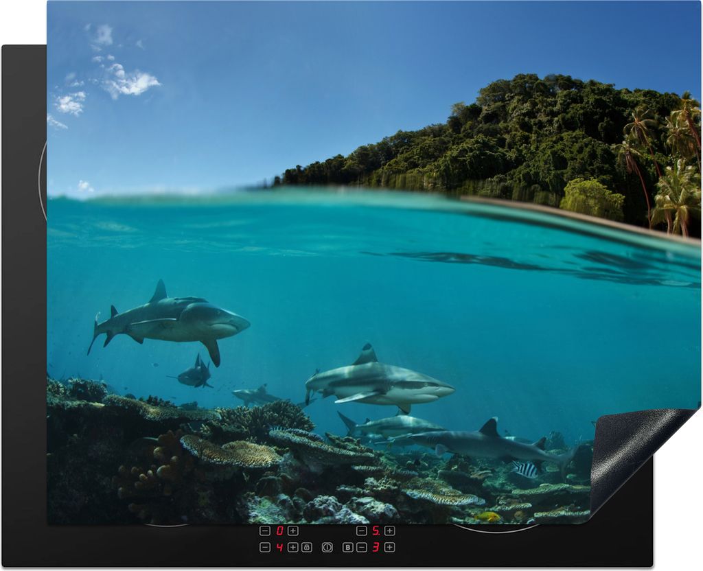 KitchenYeah Herdabdeckplatte Korallen - Haie - Meer , 65x52cm, Küche Deko, Ceranfeld Herdabdeckung, Abdeckplatte fùr Kochfeld