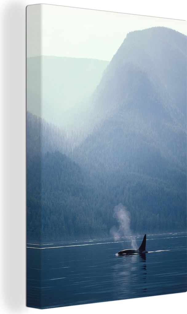 OneMillionCanvasses - Leinwandbilder - 90x140 cm, Orca - Wasser - Britisch-Kolumbien, Wandbilder Kunstdruck Wanddekoration - Wandschmucke - Schla...