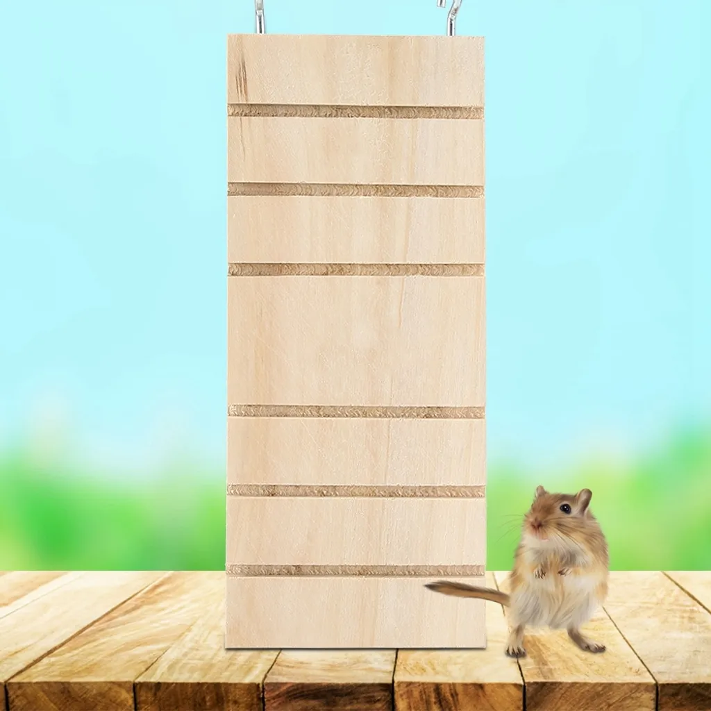 Piattaforma Gioco e Scaletta Legno per Arredo Gabbia Roditori - 2