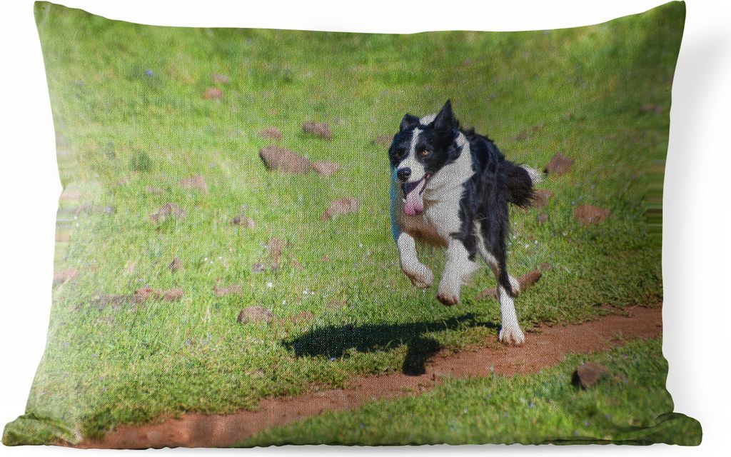 MuchoWow Outdoor Kissen - Ein aktiver Border Collie läuft über das Feld - 50x30 cm - Wetterfest - Lounge Kissen - Sofa kissen - Wohnzimmer Deko...
