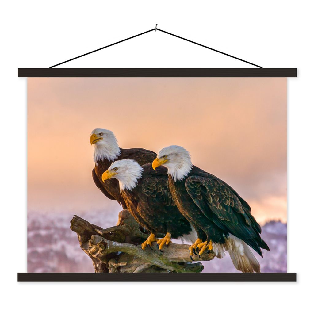 MuchoWow Textilposter Vögel - Natur - Raubvögel - Adler 40x30 cm mit schwarzem Rahmen - Dekorationen