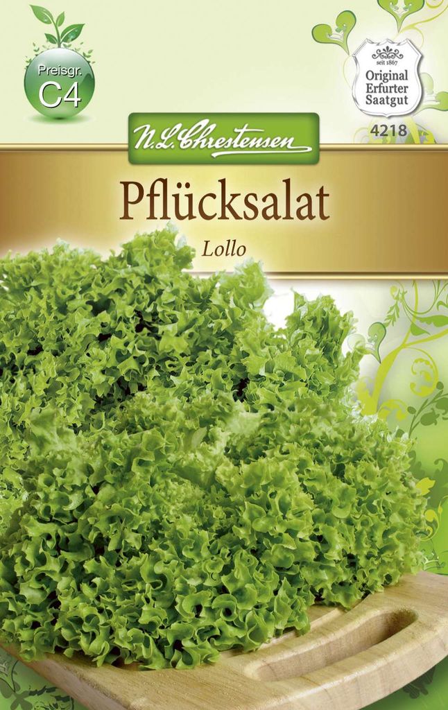 Pflücksalat Lollo | Pflücksalatsamen von N.L. Chrestensen