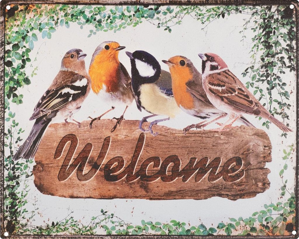 Moritz Blechschild 25 x 20 cm Welcome Schild Vögel Deko Produktbild 