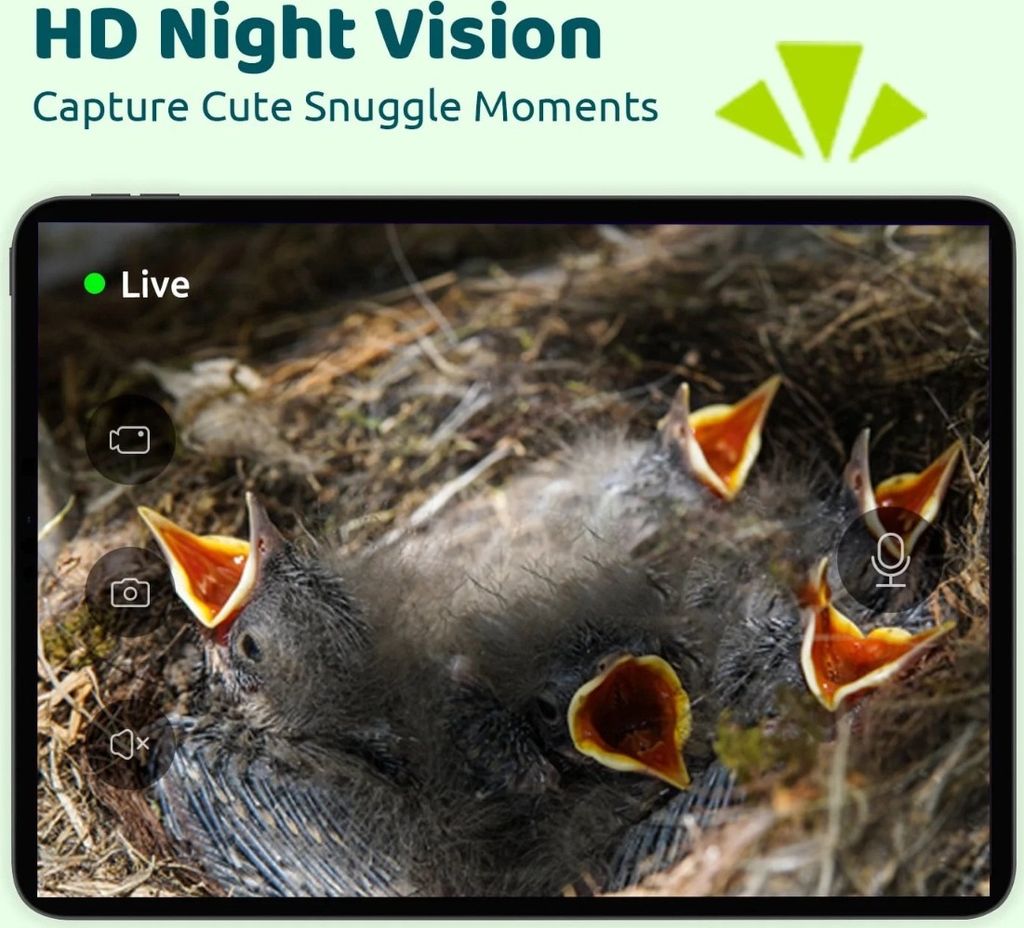 Nichoir Birdfy avec caméra Ebony Lite Smart – Nichoir Image du produit 