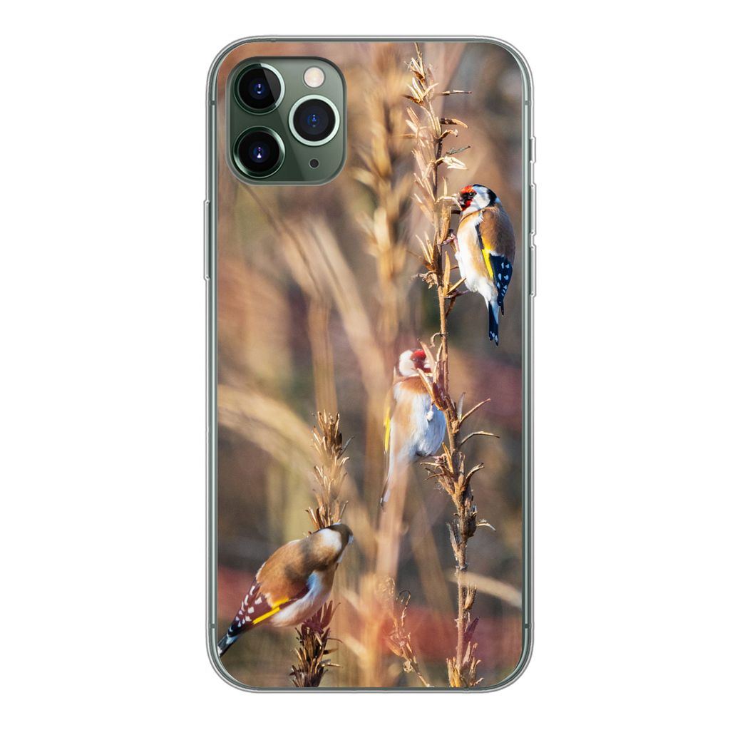 MuchoWow Handyhülle Schutzhülle Hülle für iPhone 11 Pro Max Vögel - Äste - Wald Silikon Softcase Handy Hülle - Schutz
