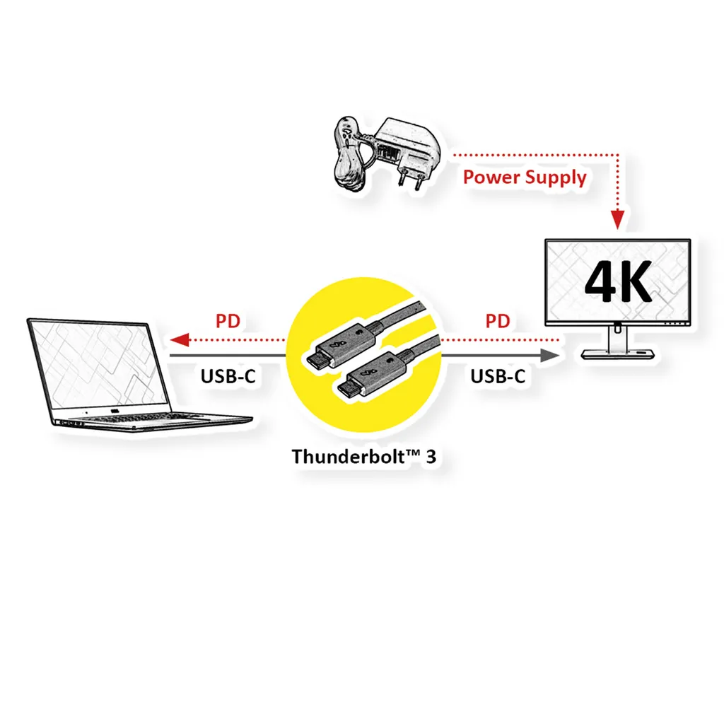 Câble de Connexion Thunderbolt 2m ROLINE Noir pour Périphériques Pro - 2