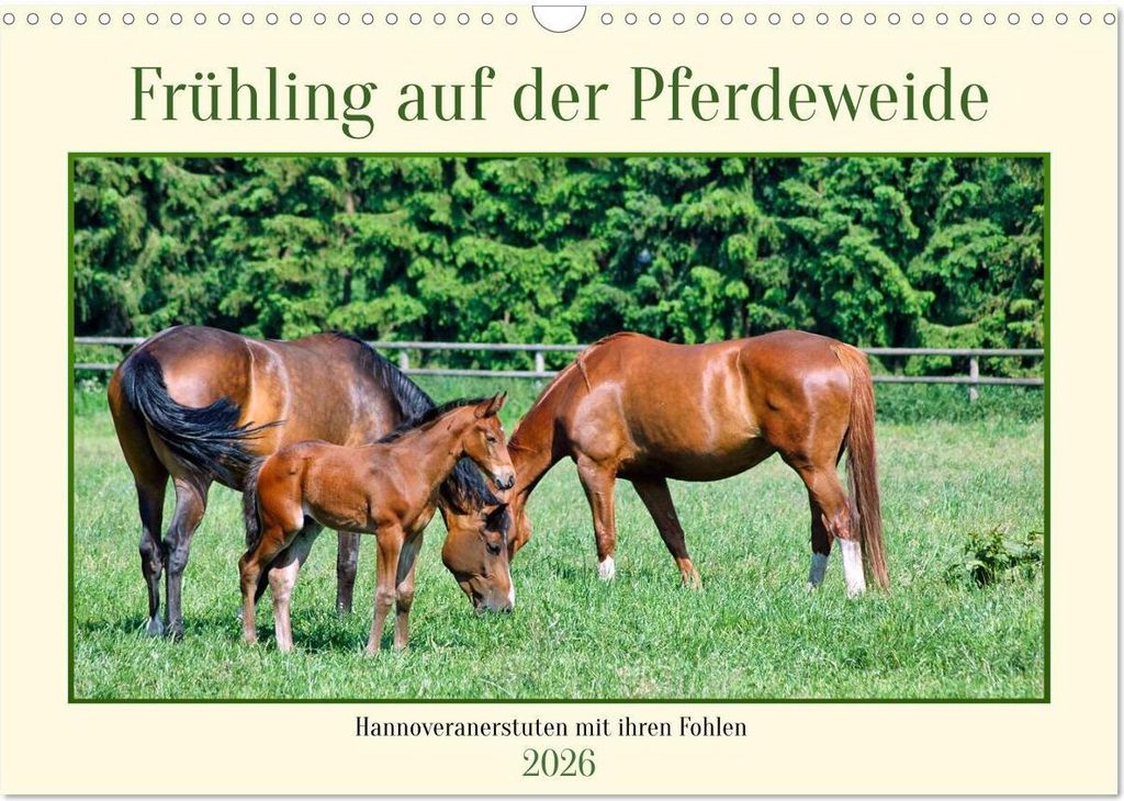Frühling auf der Pferdeweide (Wandkalender 2026 DIN A3 quer), CALVENDO Monatskalender