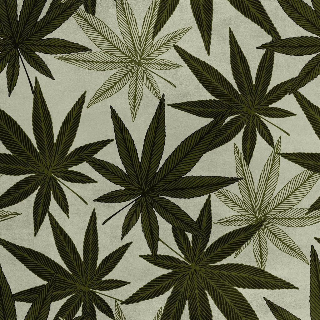 Royal Samt Stoff Polyester Zum Nähen - Motiv grüne Cannabisblätter